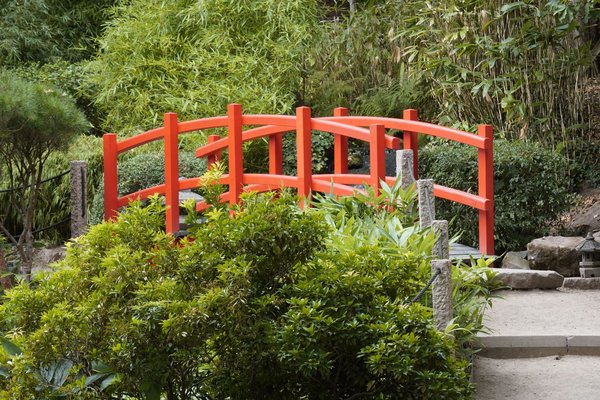 Formation en gestion du changement : accompagner les équipes dans la transition